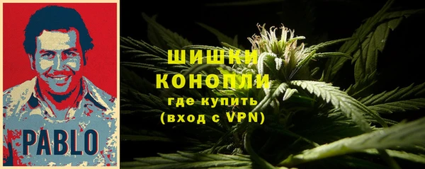 гидра Дмитровск