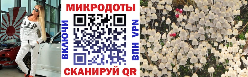 Псилоцибиновые грибы прущие грибы  Верея 