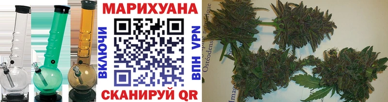 купить закладку  Верея  МАРИХУАНА сатива 